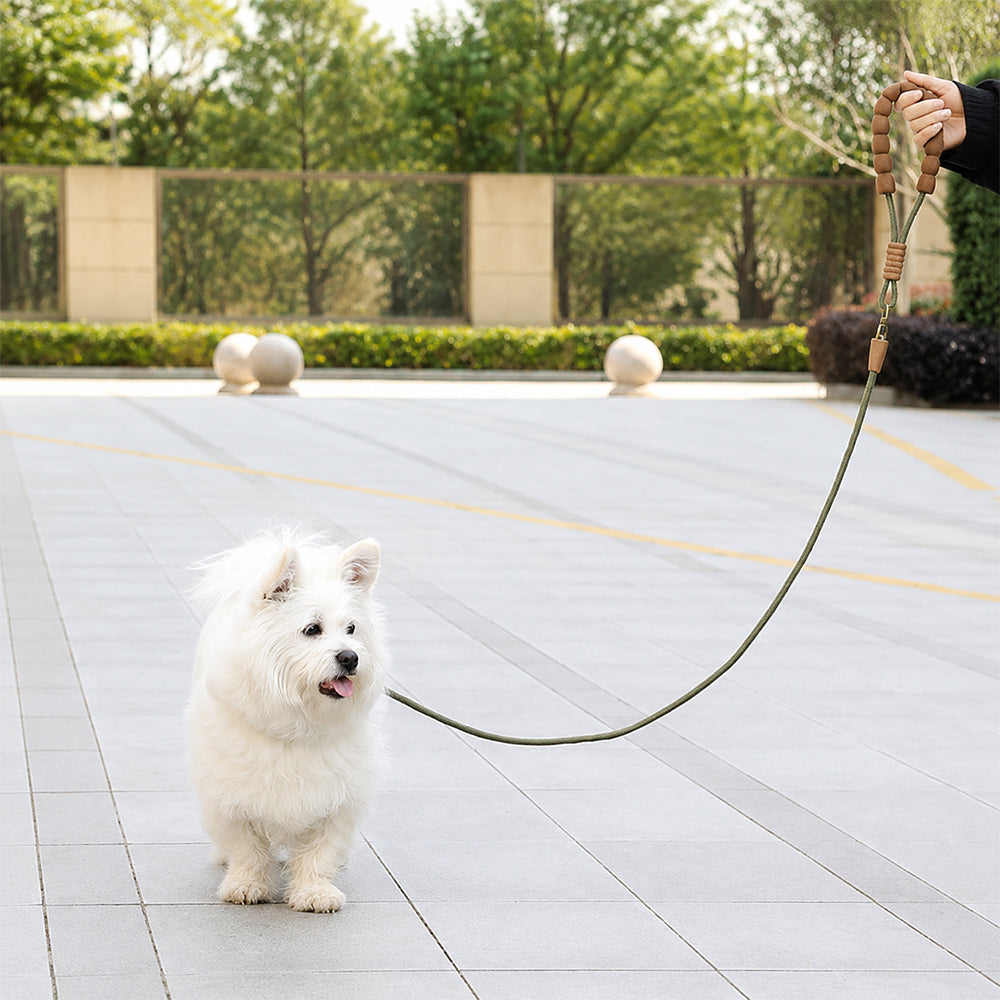 Dog Slip Lead Training Leash Heavy Duty