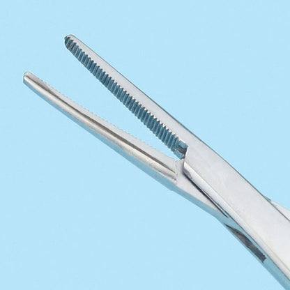 Pet Grooming Scissors | Stainless Steel | Cats & Dogs