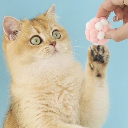 Cat Toy Balls – Interactive Self-Play Chew Toy Set (6 Pack, Random Colour)