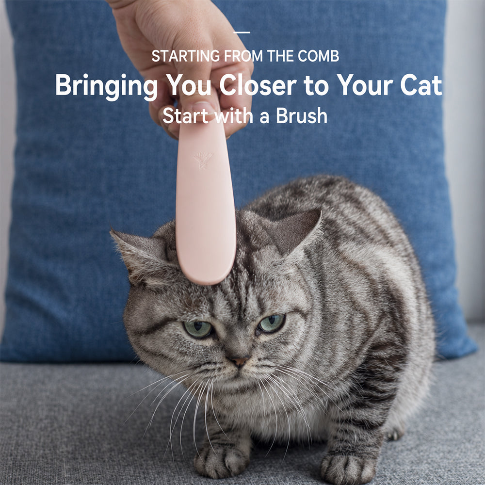 Cat Tongue Brush – Grooming, Deshedding & Massage Comb