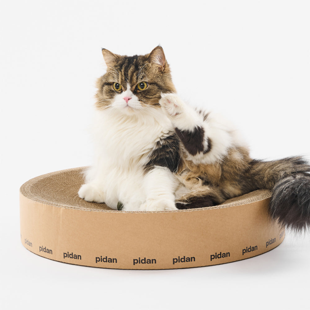 PIDAN Cat Scratcher Round Type