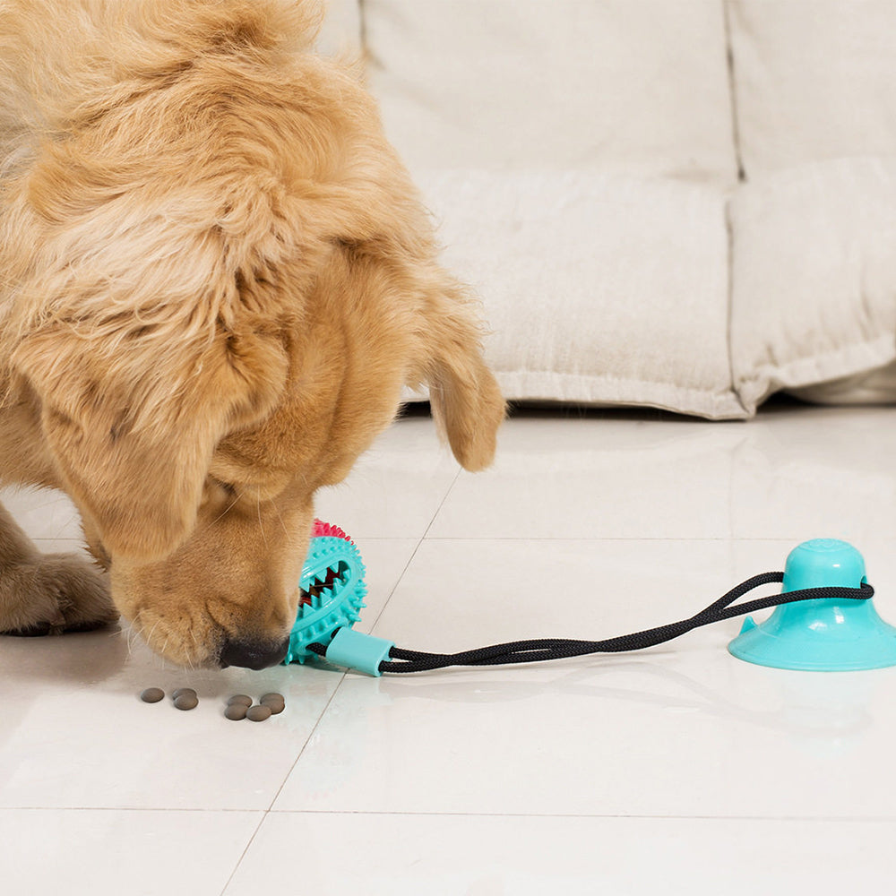 Strong Suction & Durable Dispensing Interactive Dog Toy 1Pcs Random