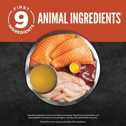 ORIJEN Chunks & Shreds - Salmon & Chicken Entrée Adult Wet Cat Food