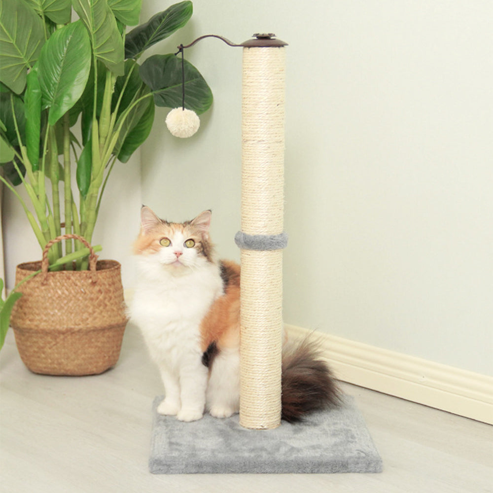 Sisal Cat Scratching Post with Hanging Toy – 67cm Single Post