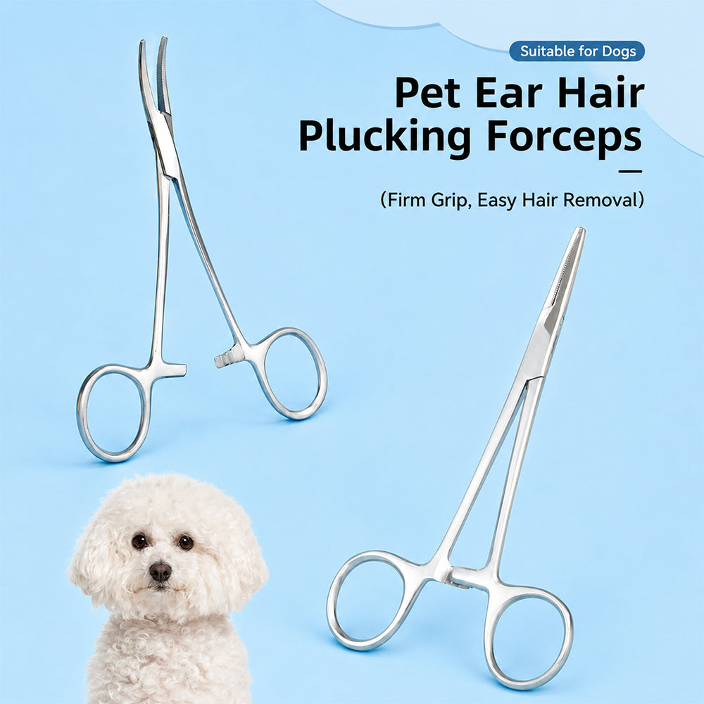 Pet Grooming Scissors | Stainless Steel | Cats & Dogs