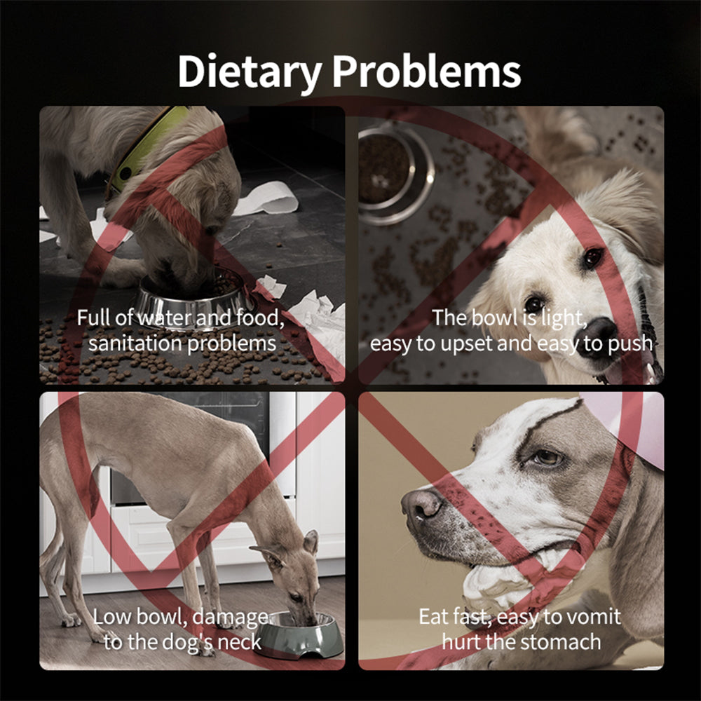 PAKEWAY Lifting Bowl With Five Height Adjustable(One Steel Bowl, One Slow Feeder)