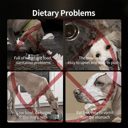 PAKEWAY Lifting Bowl With Five Height Adjustable(One Steel Bowl, One Slow Feeder)