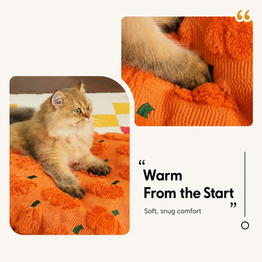 Enclosed Cat Bed Cozy Warm House