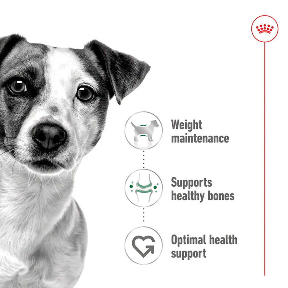 ROYAL CANIN Mini Adult Loaf Wet Dog Food 195g x 12