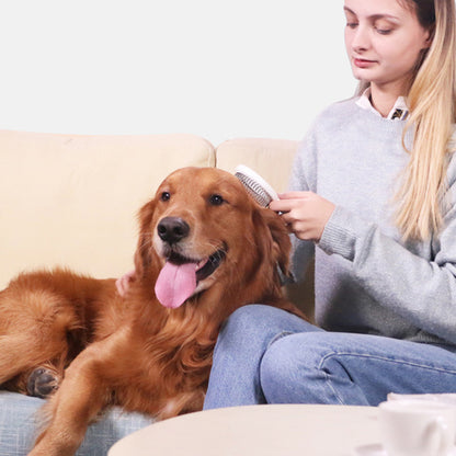 PAKEWAY Magnifier Pet Needle Comb - Blue