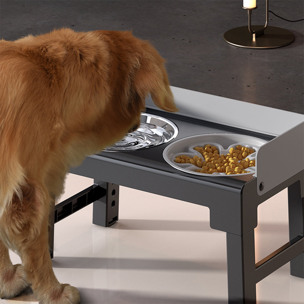 PAKEWAY Lifting Bowl With Five Height Adjustable(One Steel Bowl, One Slow Feeder)