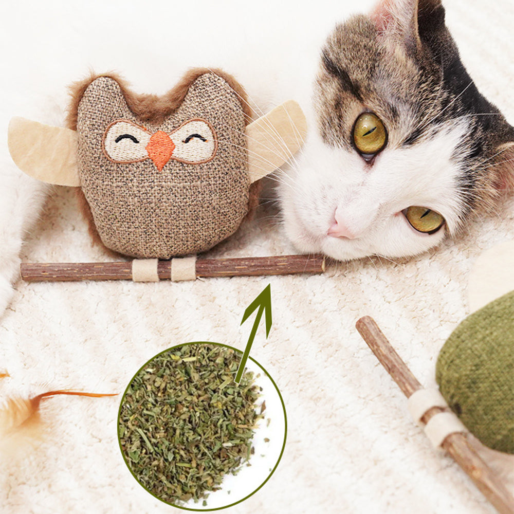 Catnip & Silvervine Chew Toy – Interactive Feather Dental Stick