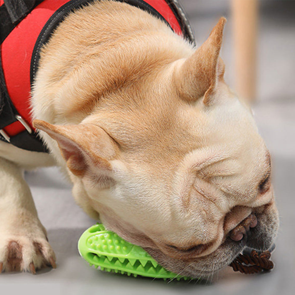 Green Strong Suction & Durable Dispensing Interactive Dog Toy