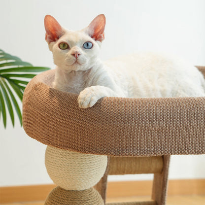 Low Cat Tree with Raised Bed & Sisal Scratching Posts – Step Design