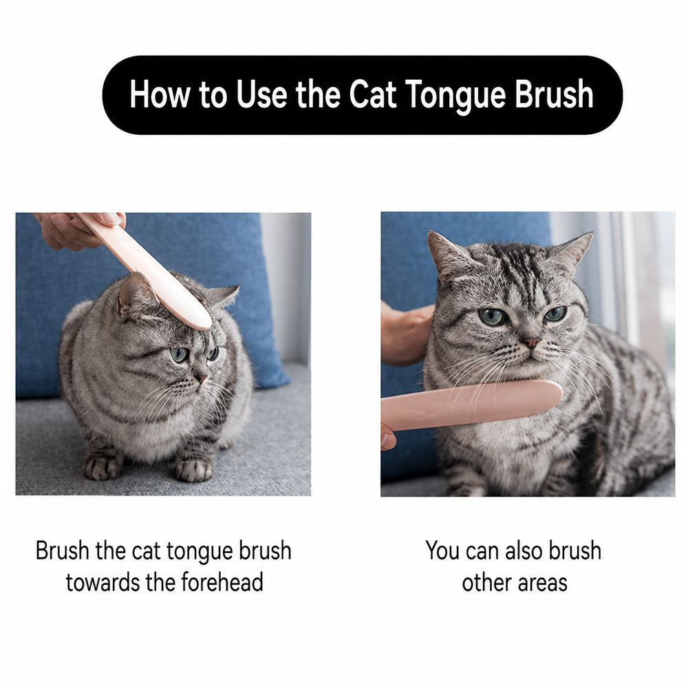 Cat Tongue Brush – Grooming, Deshedding & Massage Comb