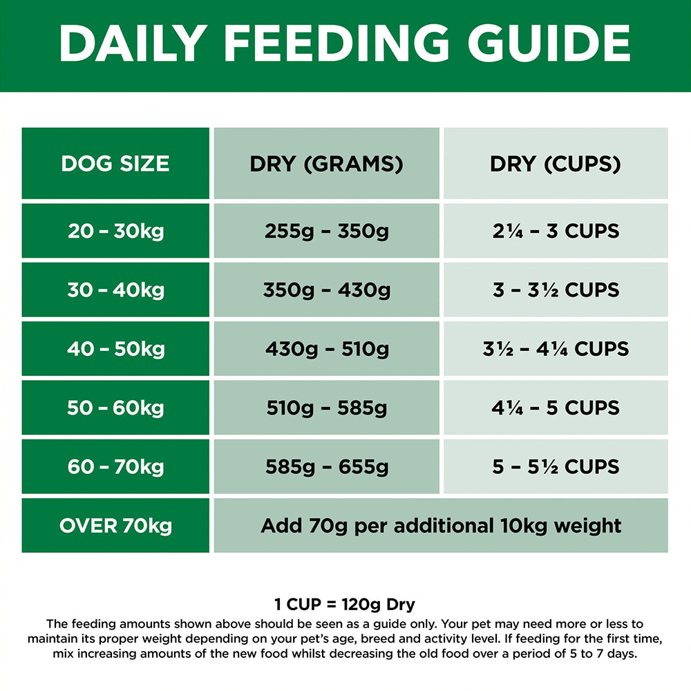 IVORY COAT Grain Free Lamb Adult Large Breed Dog Food 2kg