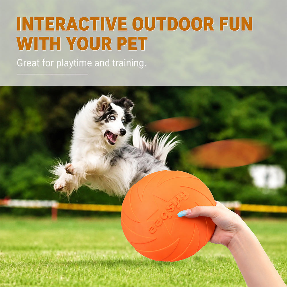 Dog Frisbee | TPR Floating Fetch Toy | Durable 22cm