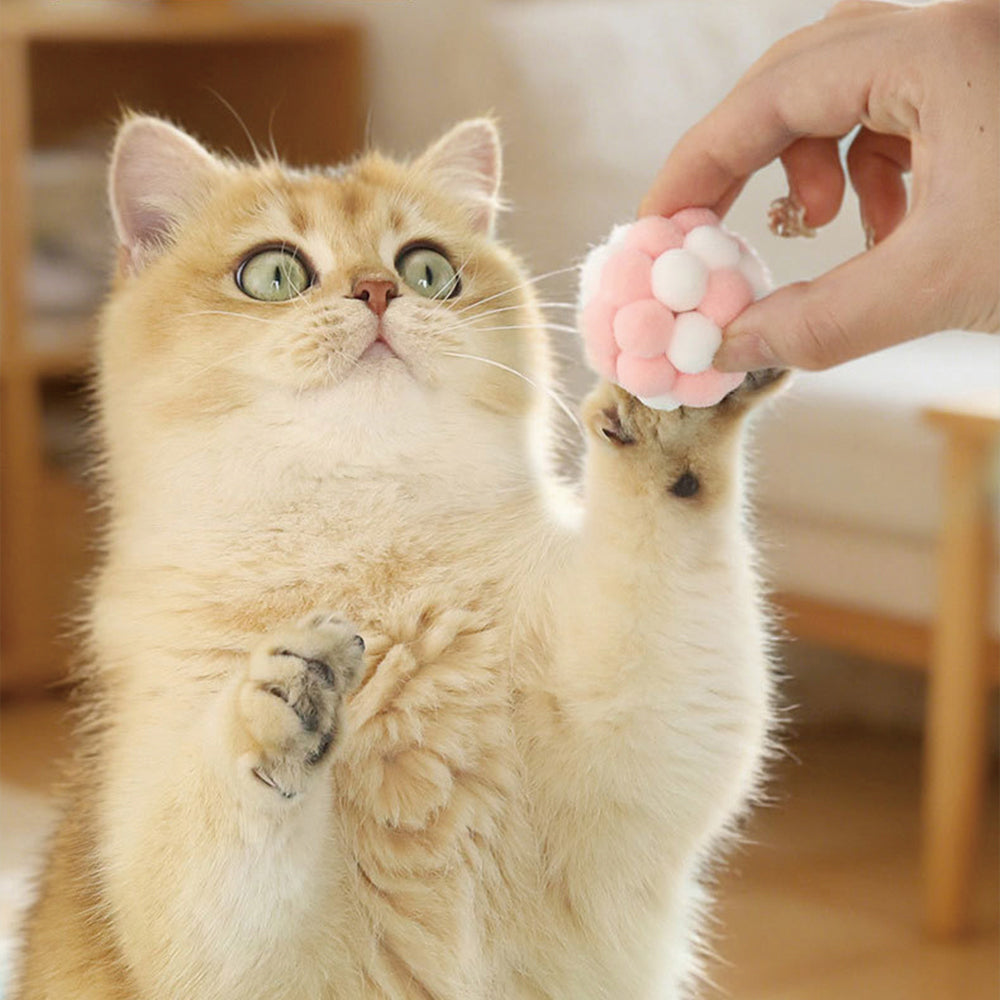 Cat Toy Balls – Interactive Self-Play Chew Toy Set (6 Pack, Random Colour)