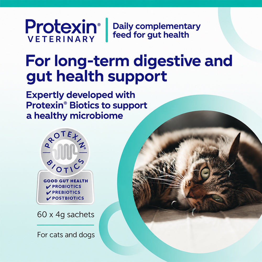 PROTEXIN Pro Kolin Enterogenic Long Term Gastrointestinal Support For Dogs & Cats 30'S