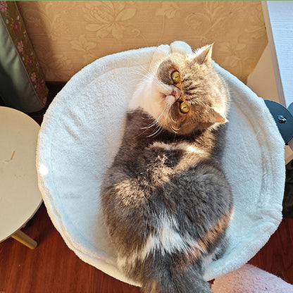 Desk-Mounted Cat Hammock – Clip-On Cat Bed for Table & Desk