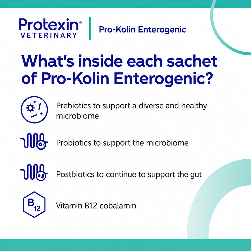 PROTEXIN Pro Kolin Enterogenic Long Term Gastrointestinal Support For Dogs & Cats 30'S