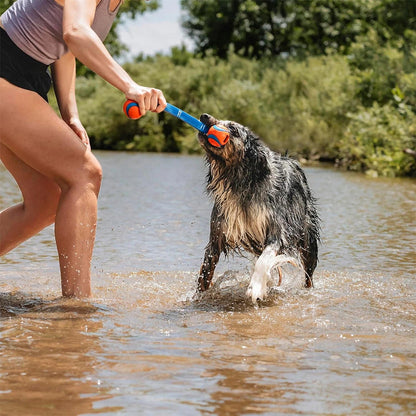 CHUCKIT! Ultra Duo Tug Medium Rubber Bouncy Durable Fetch Dog Toy Diameter
