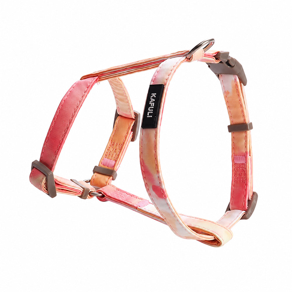 Cat Harness & Leash Set | Escape Proof | Adjustable