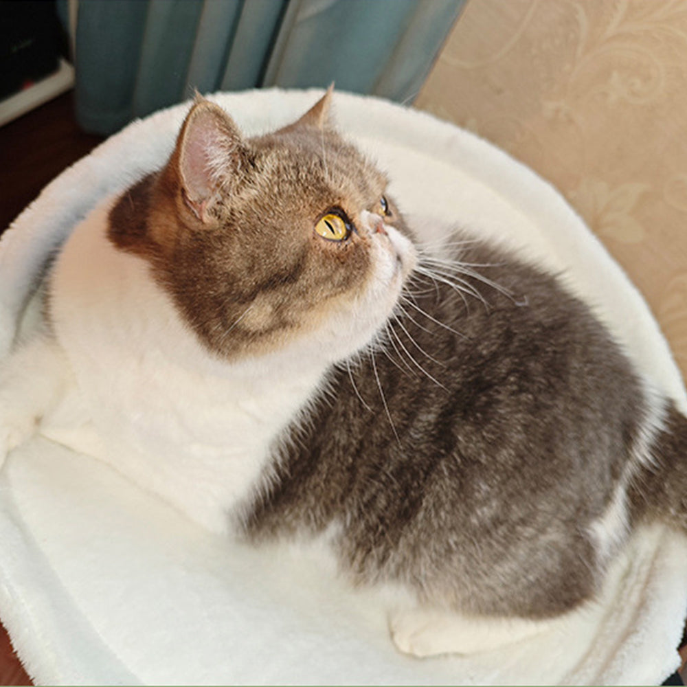 Desk-Mounted Cat Hammock – Clip-On Cat Bed for Table & Desk