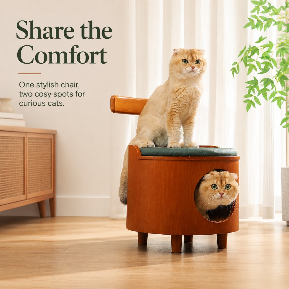 Closed Cat House & Human-Cat Shared Wooden Stool – Warm and Cozy, Four Seasons