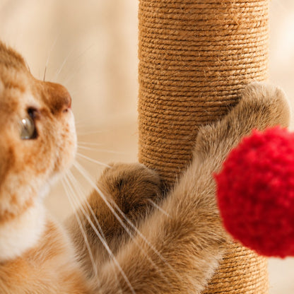 Cedar Cat Scratching Post Interactive Toy