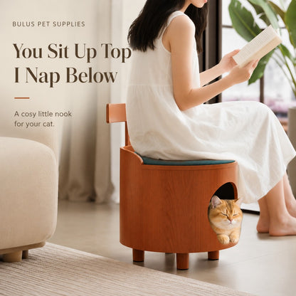 Closed Cat House & Human-Cat Shared Wooden Stool – Warm and Cozy, Four Seasons