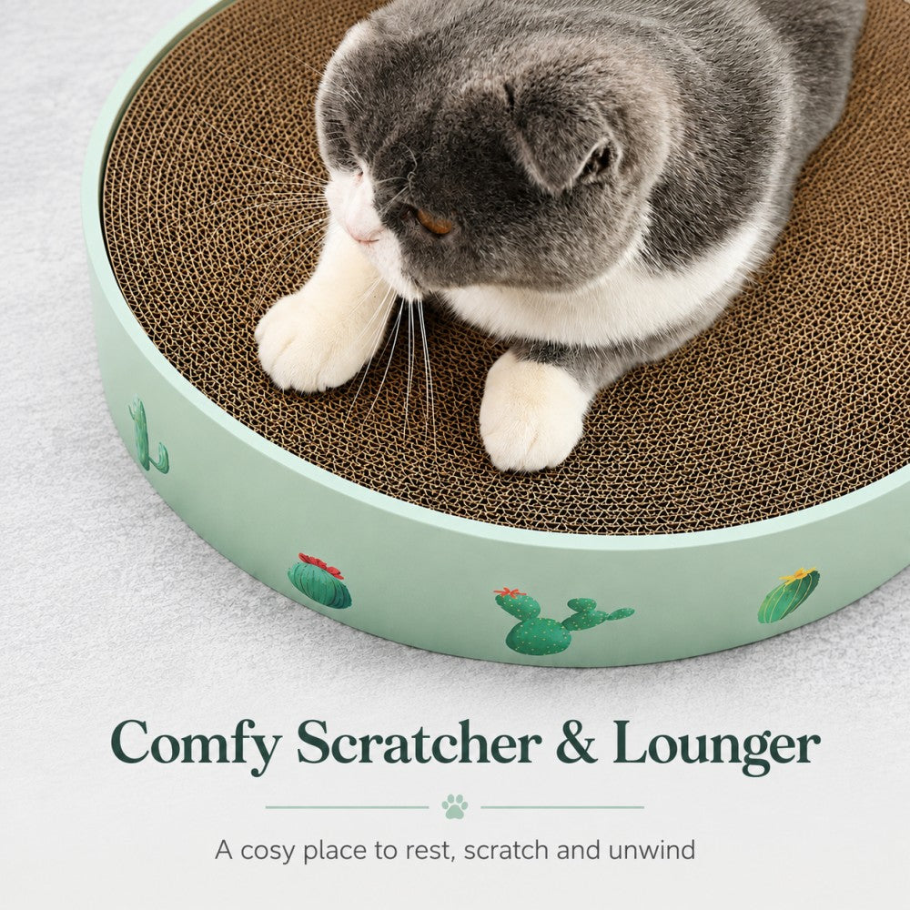 Cat Scratcher Bowl Bed Corrugated Cardboard