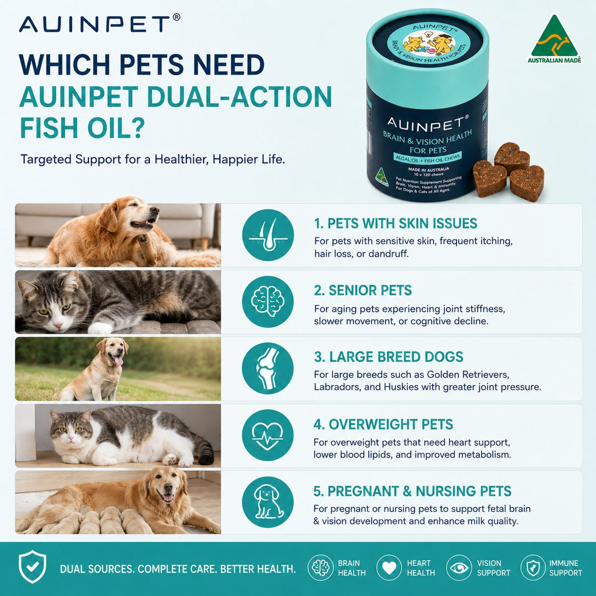 AUINPET Brain + Eye Support DHA Chews For Dogs & Cats 180g
