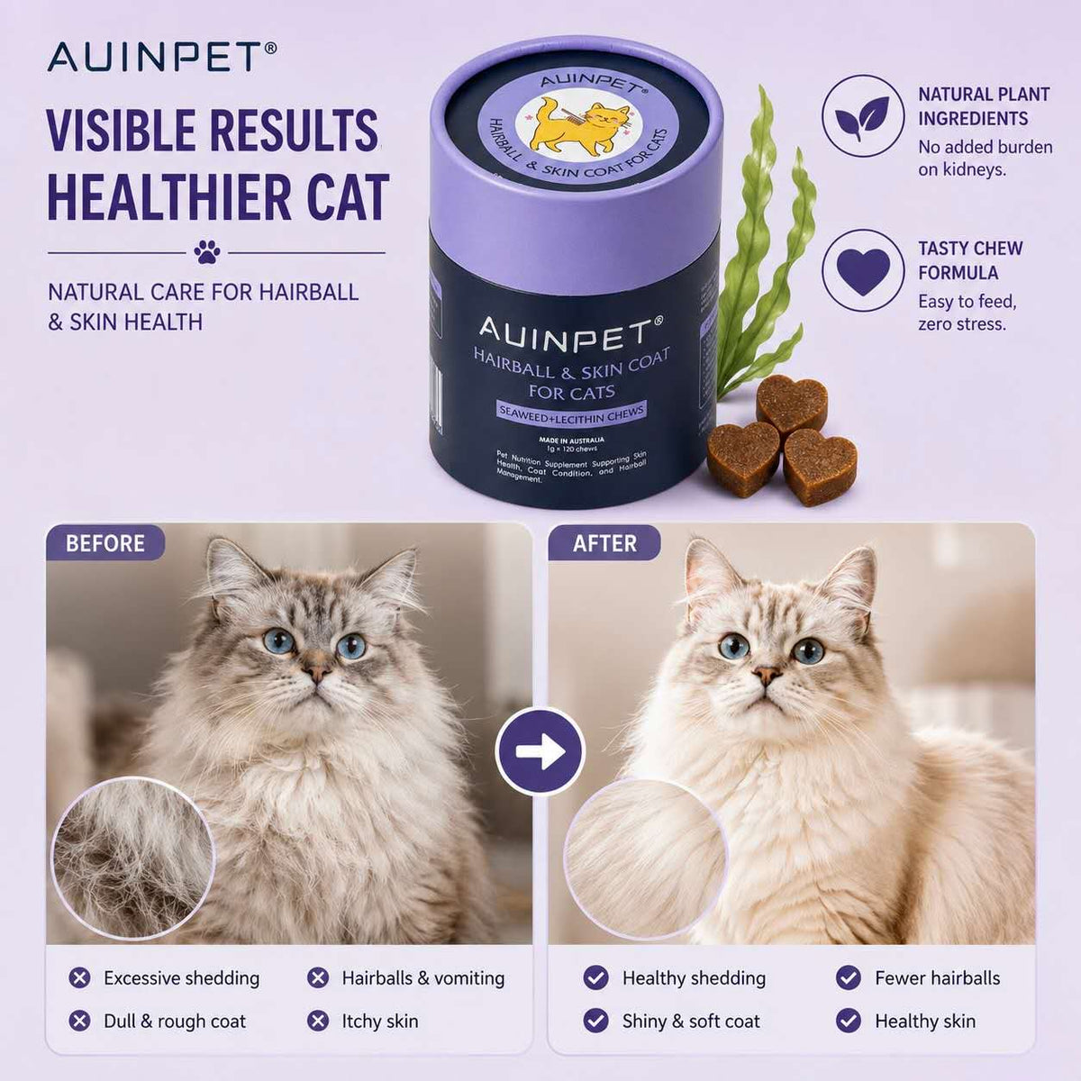 AUINPET Skin + Coat Seaweed & Lecithin For Cats 120g