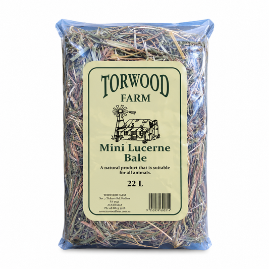 TORWOOD Farms Mini Lucerne Bale 22L