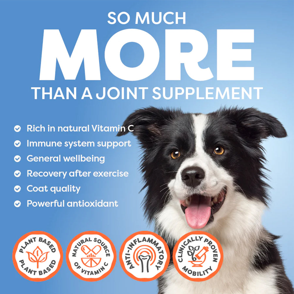 ROSEHIP Canine Vital Canine Powder For Dogs
