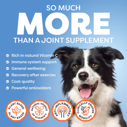 ROSEHIP Canine Vital Canine Powder For Dogs