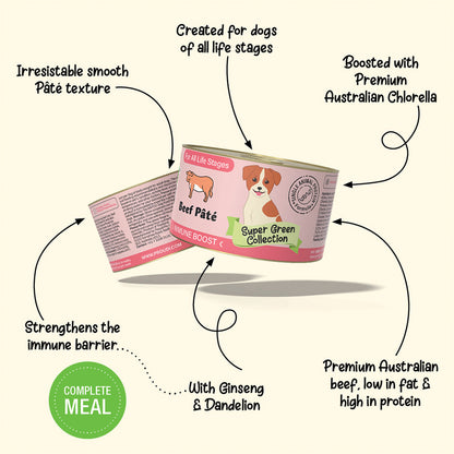 YUMGUARD Immune Boost Beef Pâté Wet Dog Food