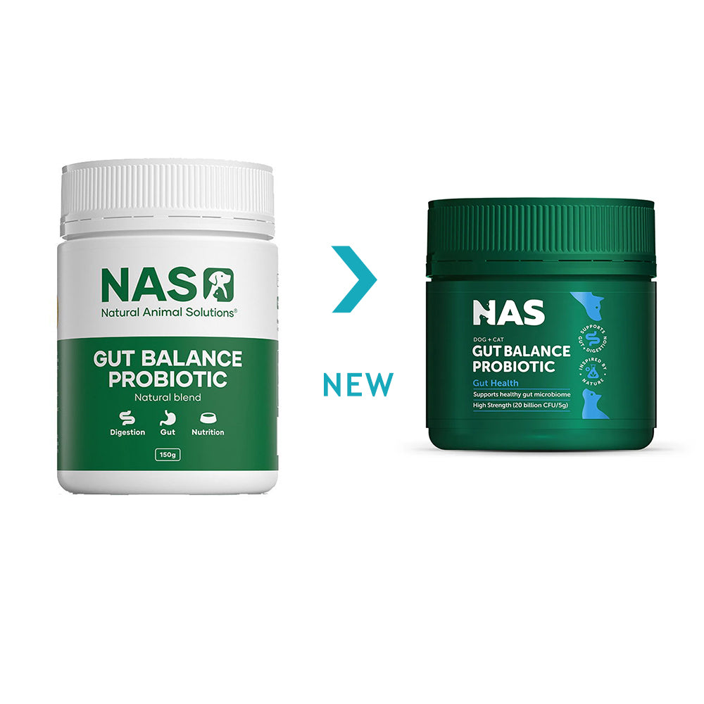 NAS NATURAL ANIMAL SOLUTIONS Natural Blend Gut Balance Probiotic Supplement For Cats & Dogs 80