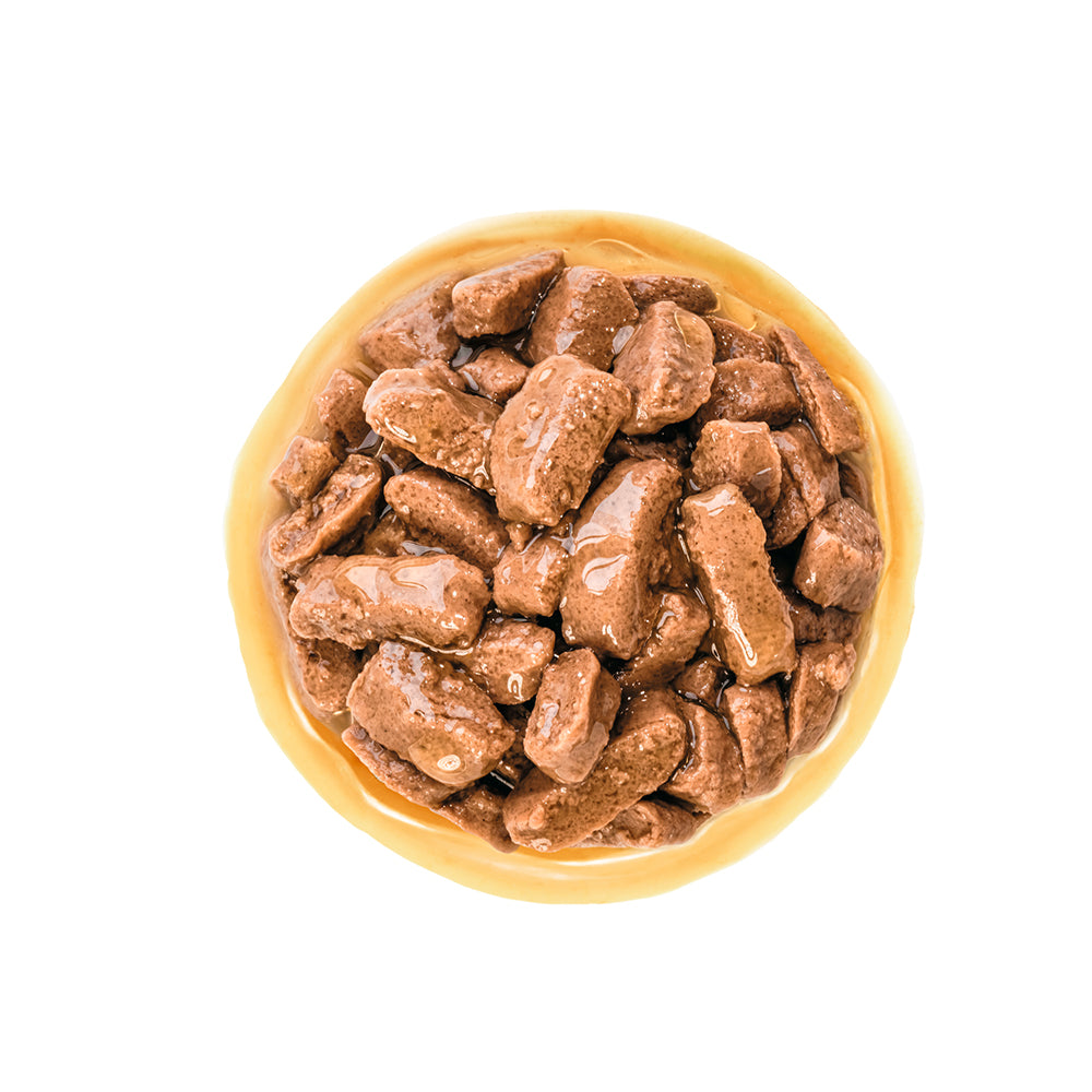 ROYAL CANIN Medium Adult Wet Dog Food 140g x 10