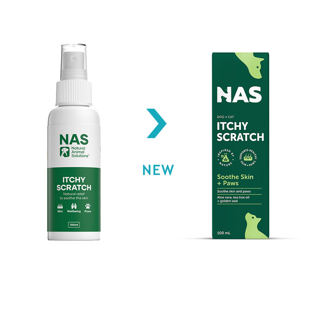 NAS NATURAL ANIMAL SOLUTIONS ItchyScratch Pet Skin & Coat Care 100ml