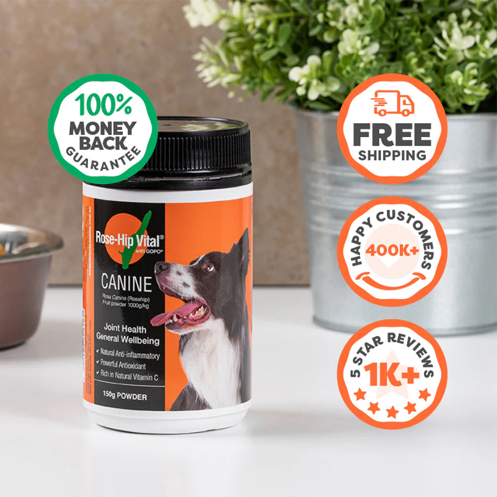 ROSEHIP Canine Vital Canine Powder For Dogs
