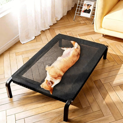 Heavy-Duty Elevated All-Season Dog Bed for Medium & Large Dogs