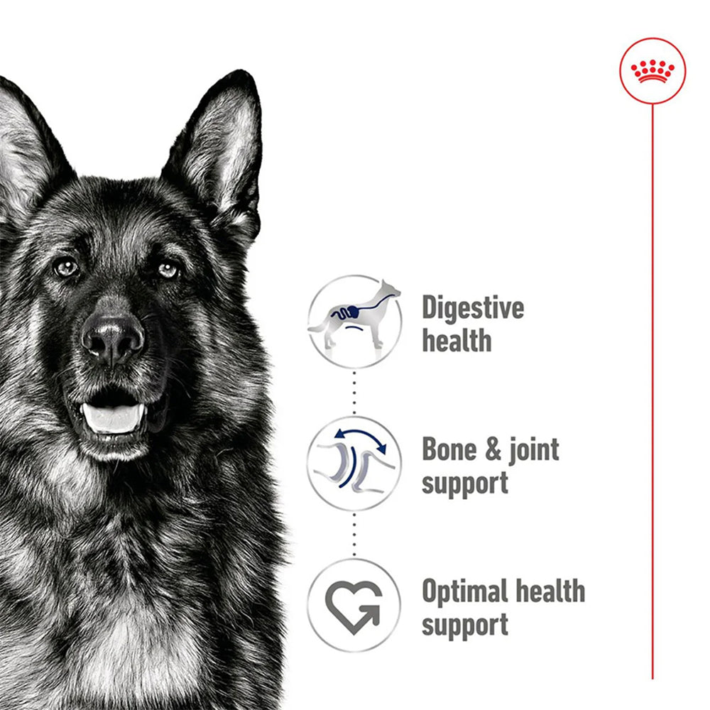 ROYAL CANIN Maxi Adult Loaf Wet Dog Food 410gx12