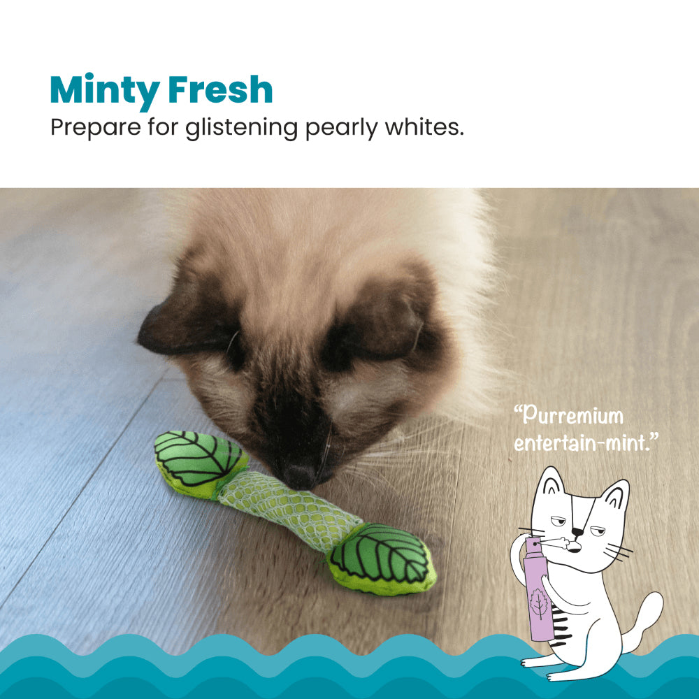 PETSTAGES Fresh Breath Mint Stick Cat Toy
