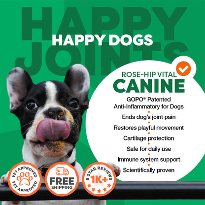 ROSEHIP Canine Vital Canine Powder For Dogs