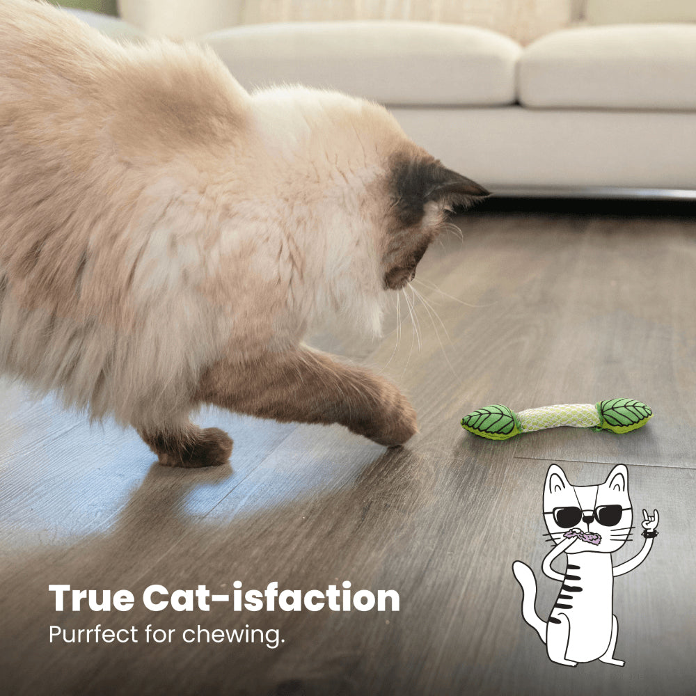 PETSTAGES Fresh Breath Mint Stick Cat Toy
