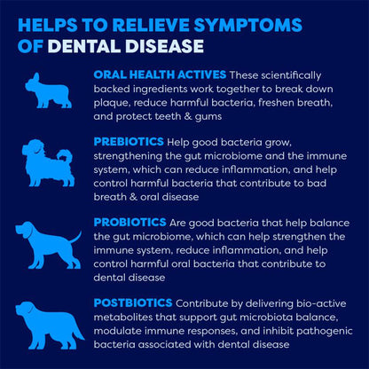 BELL & BONE Lamb Dog Dental Topper 30ml