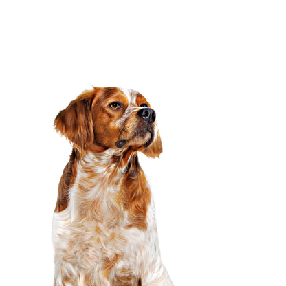 ROYAL CANIN Medium Adult Wet Dog Food 140g x 10