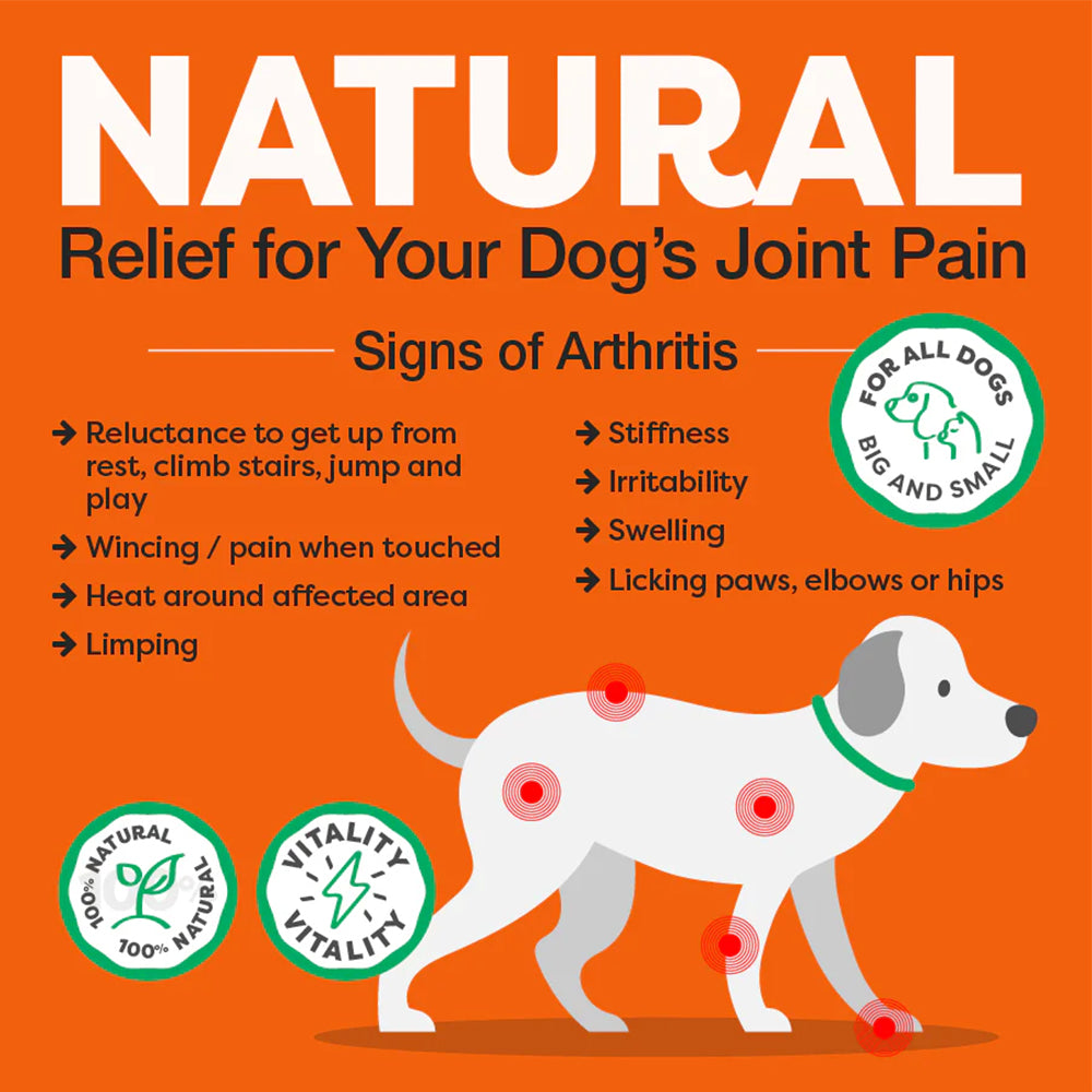 ROSEHIP Canine Vital Canine Powder For Dogs